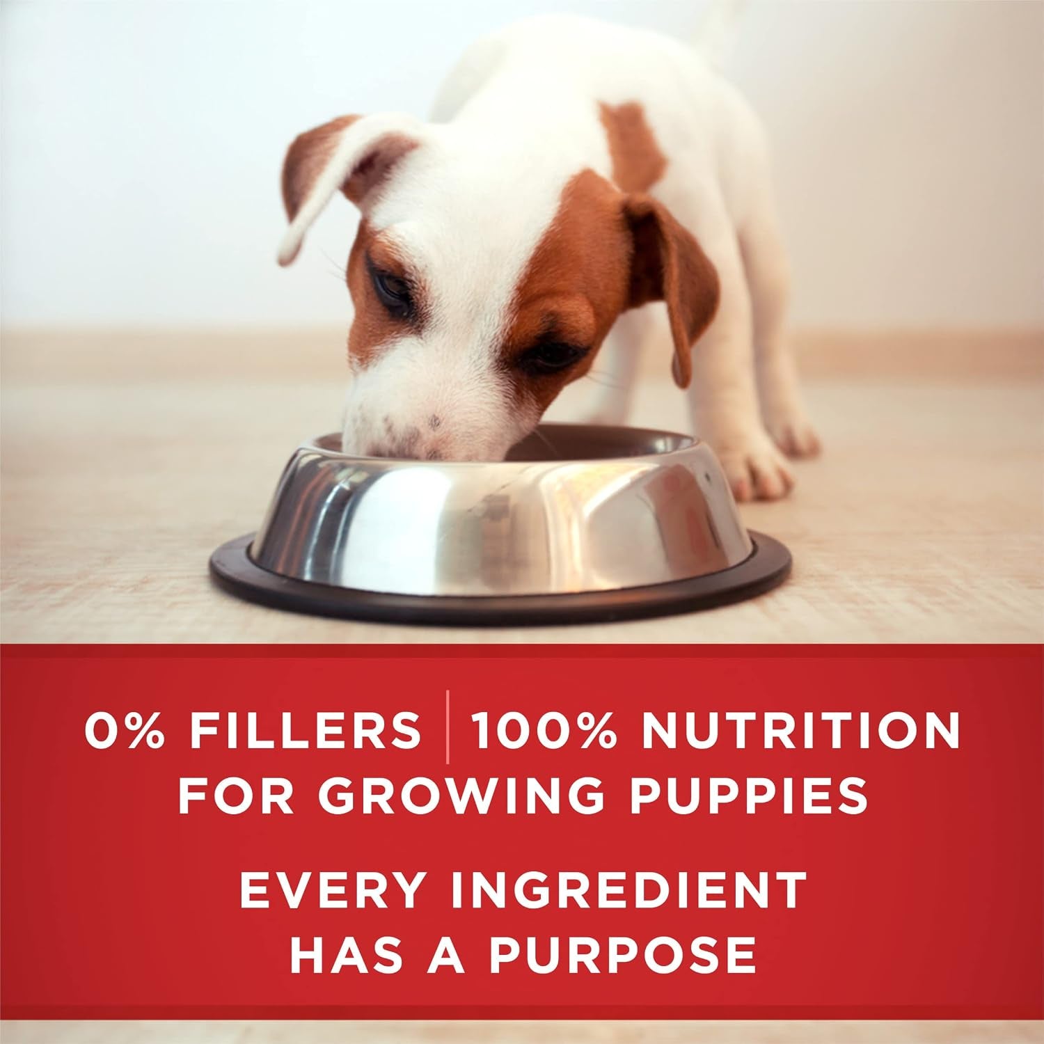 purina-one-plus-wet-puppy-food-classic-ground-healthy-puppy-lamb-and-long-grain-rice-entree-pack-of-12-13-oz-cans