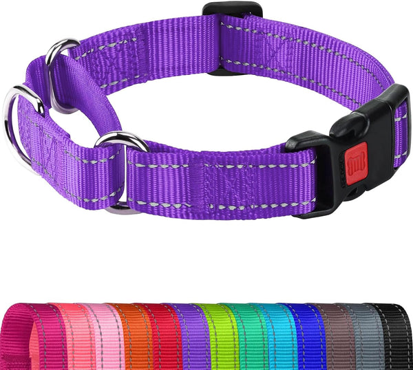 Joytale Martingale Collar for Dogs, Escape Proof No Pull, Hotpink, M | Gentle Cinch Stops Pulling without Choking, Safety Lock Buckle, Reflective Stitching for Night Walks, Soft Nylon13