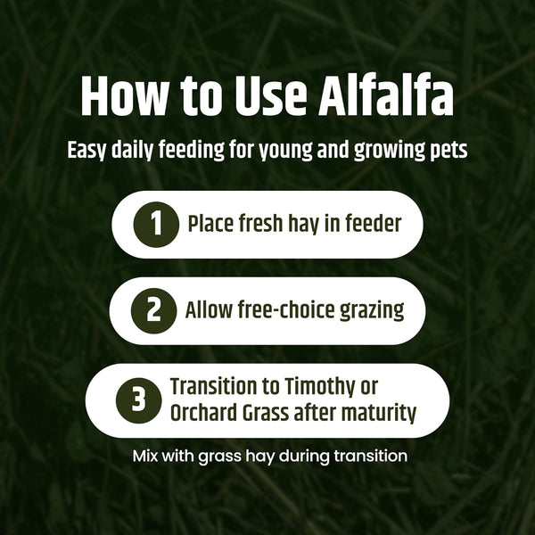 High Desert Alfalfa Hay, Protein Rich Soft Leaf Food for Young Growing Animals, Natural Rabbit Food and Guinea Pig Hay, Supports Digestive Health, Small Pet Supplies, Fresh Hand Packed 5 Lb Box | Protein Rich Soft Leaf Forage, Ideal for Growing Kits and Nursing Mothers, Great Calcium Source, Hand Packed, Low Dust7