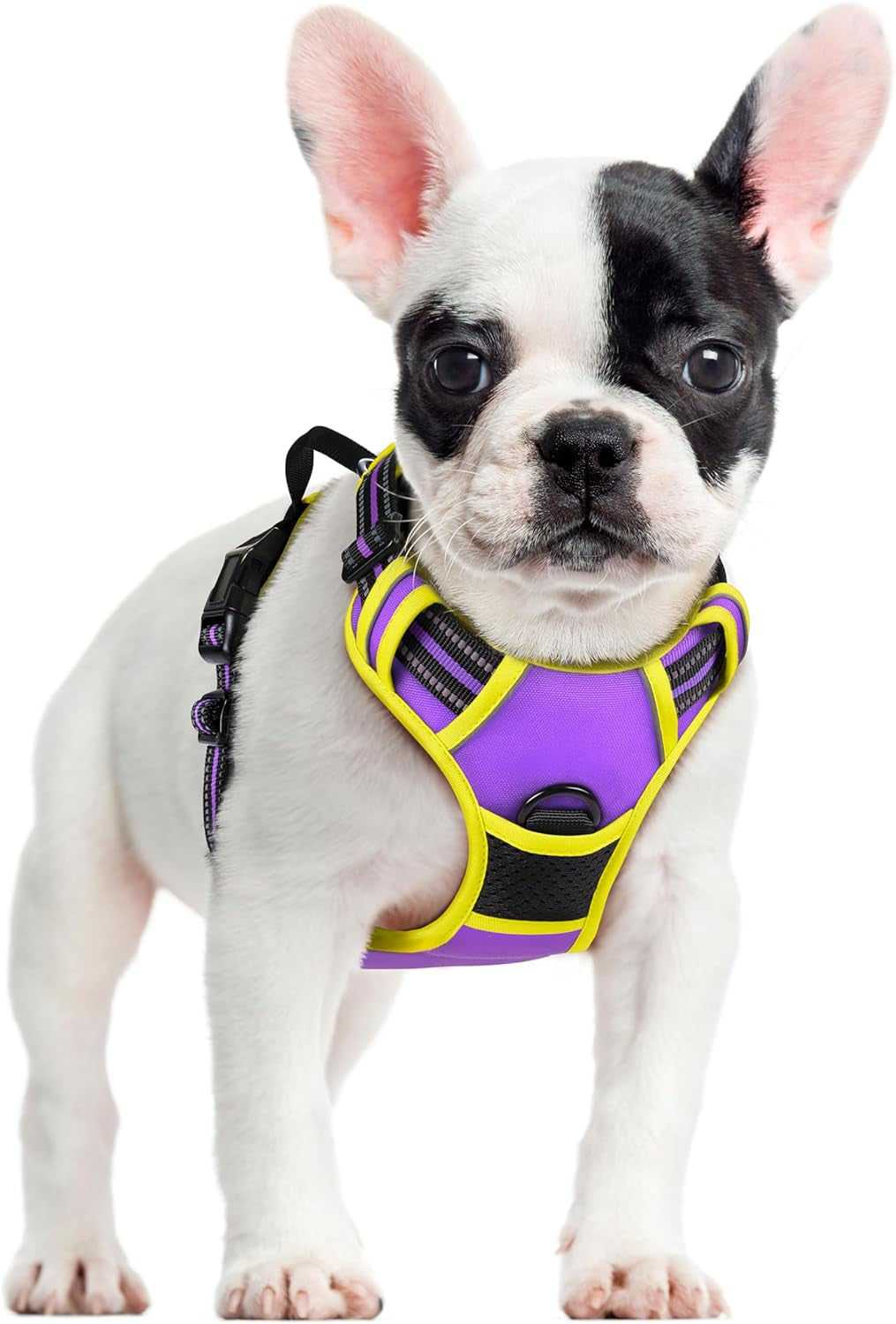 rabbitgoo-dog-harness-no-pull-for-large-dogs-with-2-leash-clips-pet-vest-no-choke-with-handle-adjustable-soft-padded-reflective-easy-control-for-walking-black-large