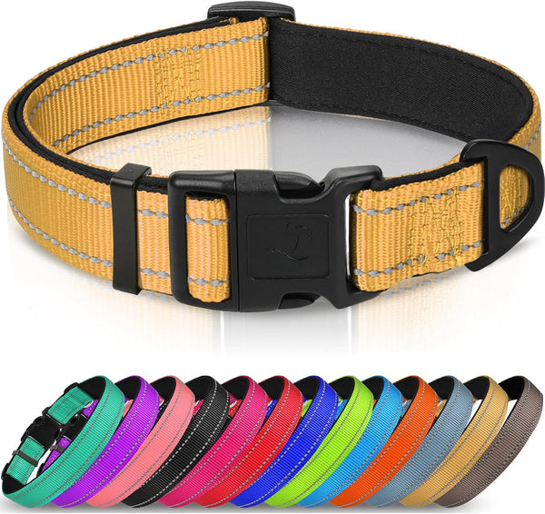 Joytale Reflective Dog Collar, Adjustable Neoprene Padded, Teal L | Breathable Nylon for Large Dogs, No Chafing on Walks and Outdoor Hikes, Tear-Resistant Webbing, Metal D-Ring, Night Safety22