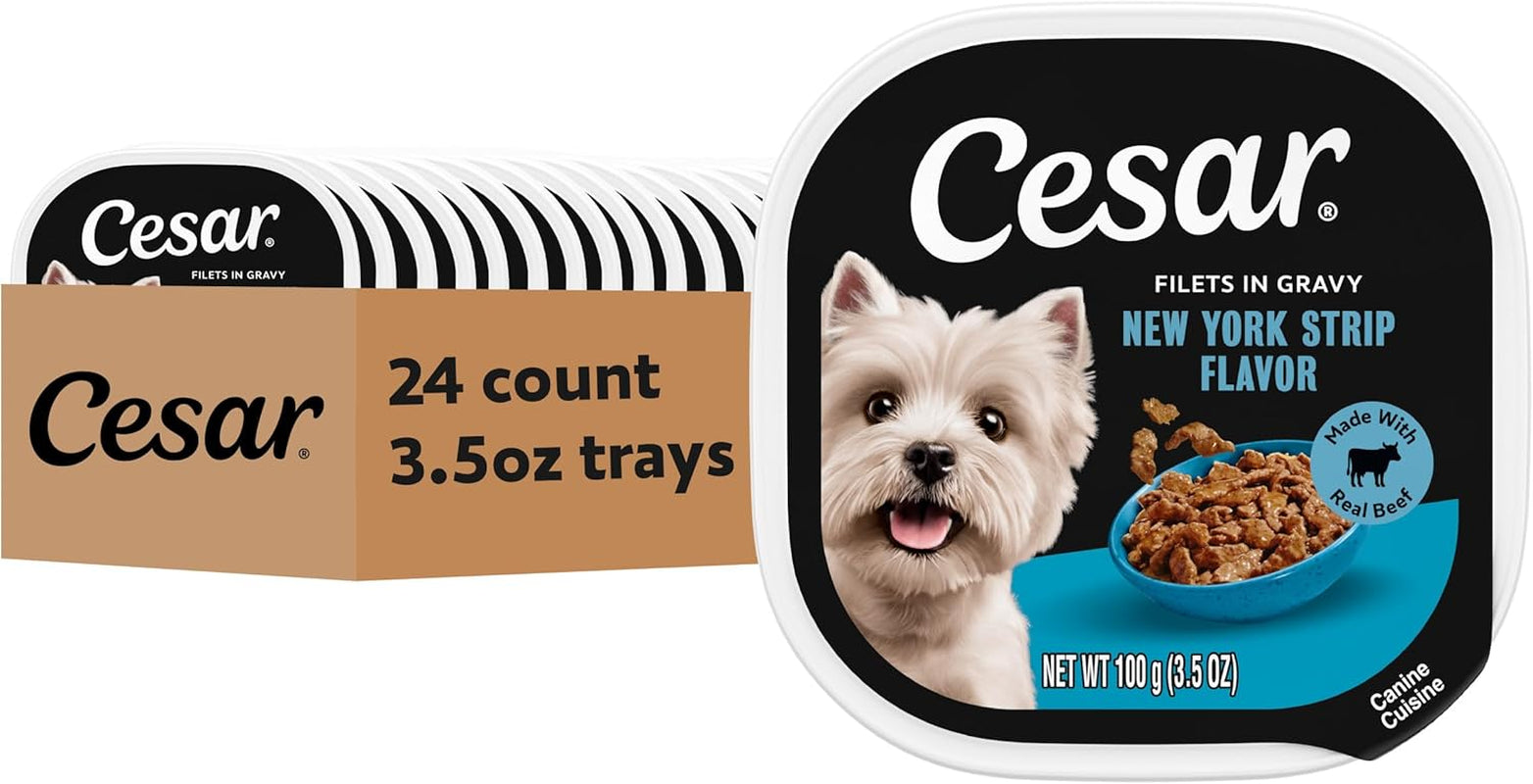 cesar-filets-in-gravy-wet-dog-food-filet-mignon-flavor-3-5-oz-24-count-real-beef-easy-to-digest-no-fillers-no-added-sugar-no-artificial-flavors-slow-cooked-tender-texture-easy-peel-trays