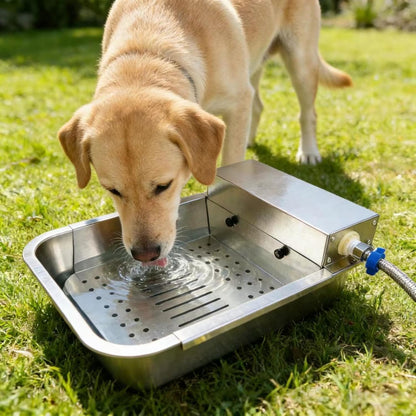 Automatic Dog Water Dispenser 3-Gallon Stainless Steel Outdoor Drinking Bowl for Large Dogs,Self-Filling Water Bowl with a Filter Design to Filter Large Debris(11L-B)8