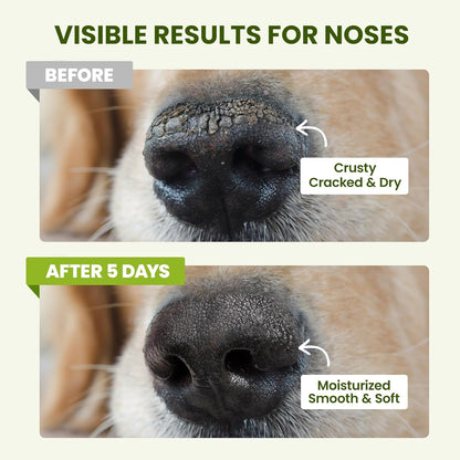 Pawsono Lick-Safe Dog Paw & Nose Balm with Coconut Oil | All-Natural Moisturizer & Soother for Dry, Cracked Pads & Snout, Heat & Cold Pavement Protection, Horse Hoof Care5