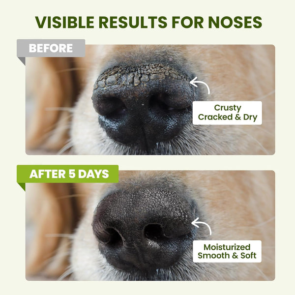 Pawsono Lick-Safe Dog Paw & Nose Balm with Coconut Oil | All-Natural Moisturizer & Soother for Dry, Cracked Pads & Snout, Heat & Cold Pavement Protection, Horse Hoof Care5
