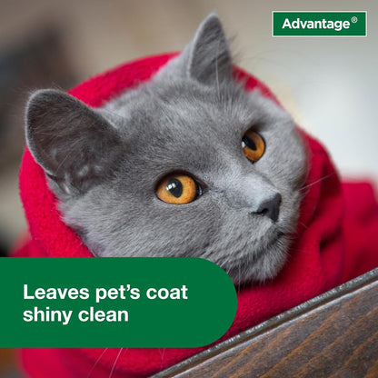 Advantage Cat Flea & Tick Shampoo for Kittens & Adult Cats | Kills Fleas & Ticks | 8 Oz.5