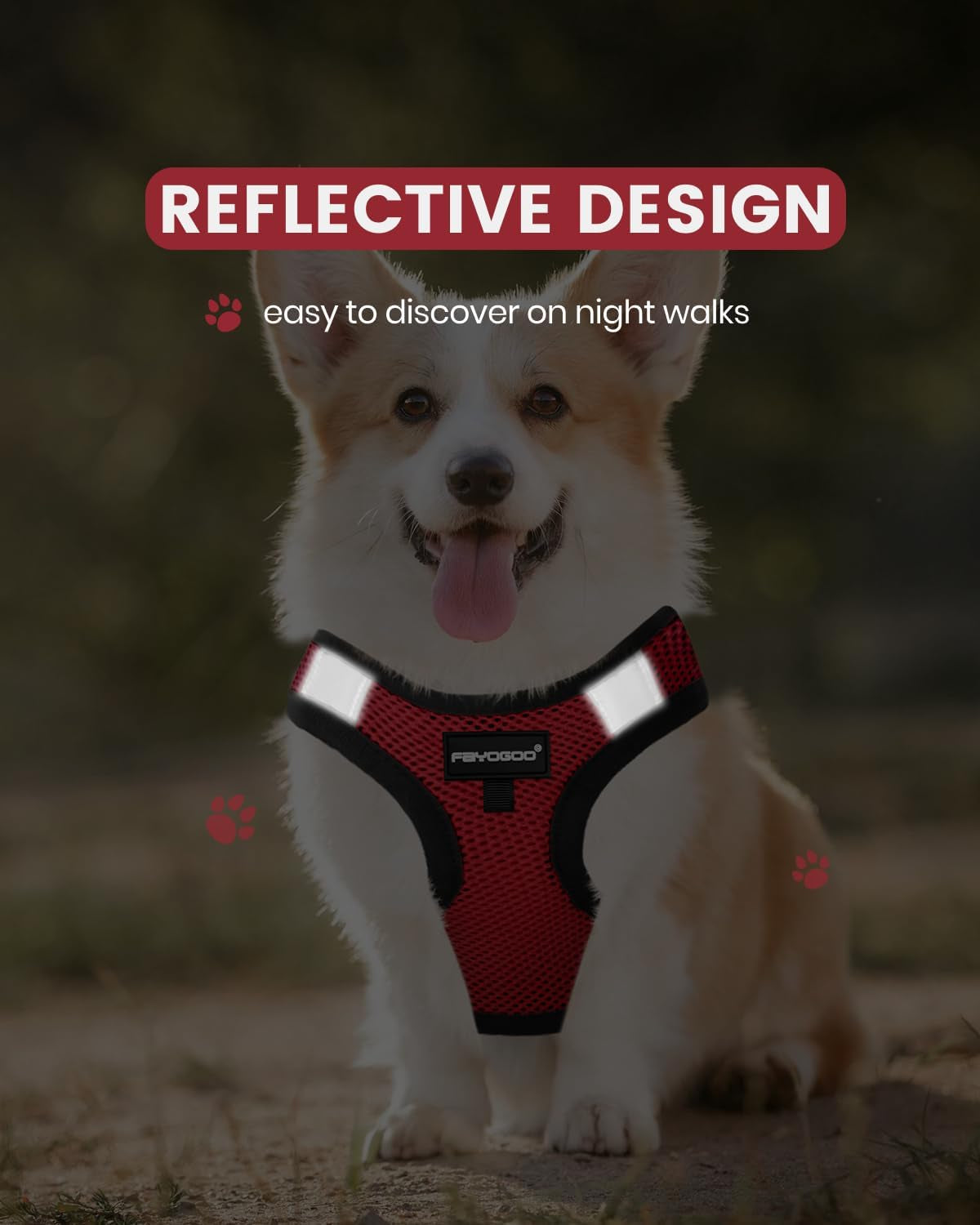fayogoo-service-dog-vest-for-small-dogs-lightweight-dog-harness-with-6pcs-removable-patches-puppy-harness-and-leash-set-for-walking-training