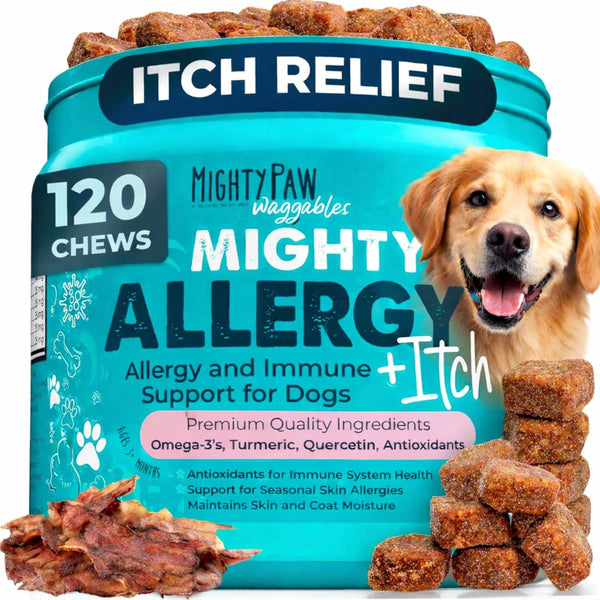 Mighty Paw Dog Allergy Chews, Itch Relief & Immune Support, 120Ct | Bacon Flavor, Supports Normal Immune Health, Seasonal Skin Support, Vet Formulated, Made in USA1