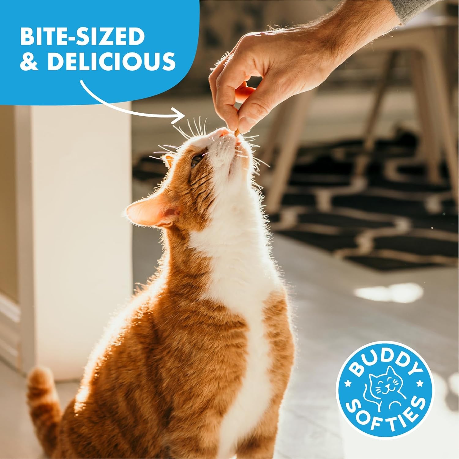 buddy-biscuits-soft-chewy-grain-free-cat-treats-chicken-3-oz-pouch