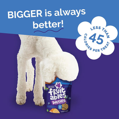 Fruitables Biggies Dog Biscuits, Healthy Treats for Dogs, Doggie Biscuits, Crunchy Pumpkin Treats, Made without Wheat, Corn and Soy, Made in the USA, Pumpkin and Blueberry Flavor, 16Oz6