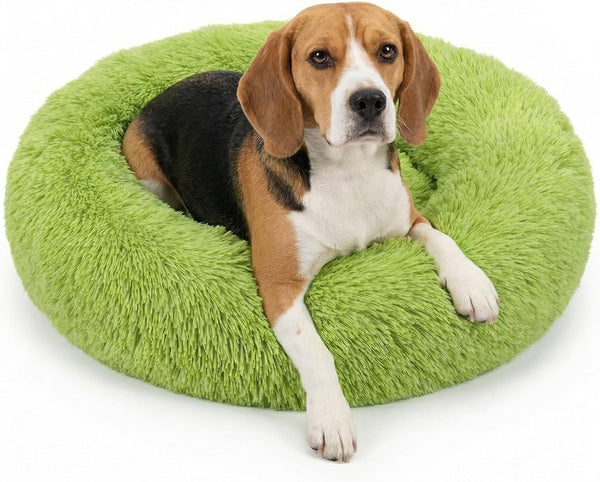 Small Calming Dogs Bed for Small Dogs Anti-Anxiety Machine Washable Fluffy Luxury Anti-Slip Waterproof Mute Base Warming Cozy Soft Pet Puppy round Bed34