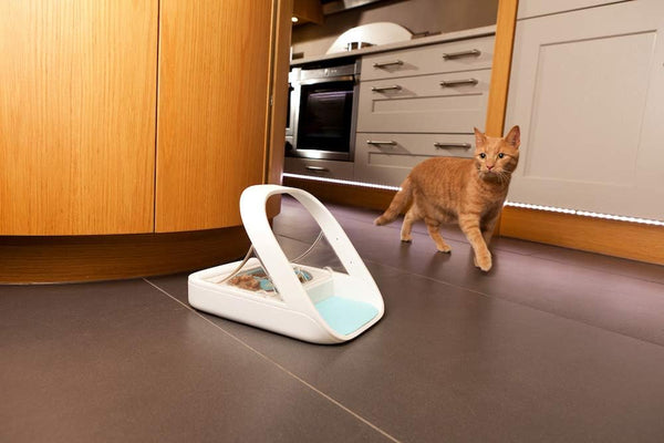 Sure Petcare -Sureflap - Surefeed - Microchip Pet Feeder - Selective-Automatic Pet Feeder Makes Meal Times Stress-Free, Suitable for Both Wet and Dry Food - MPF0014