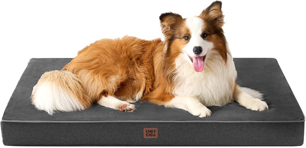 EHEYCIGA Medium Memory Foam Dog Crate Bed Washable, 30X20Inch, Grey | High Density Egg Crate Foam, Waterproof Liner, Removable Easy Clean Cover, Non-Slip Bottom, Fits Crate, Floor and Sofa24