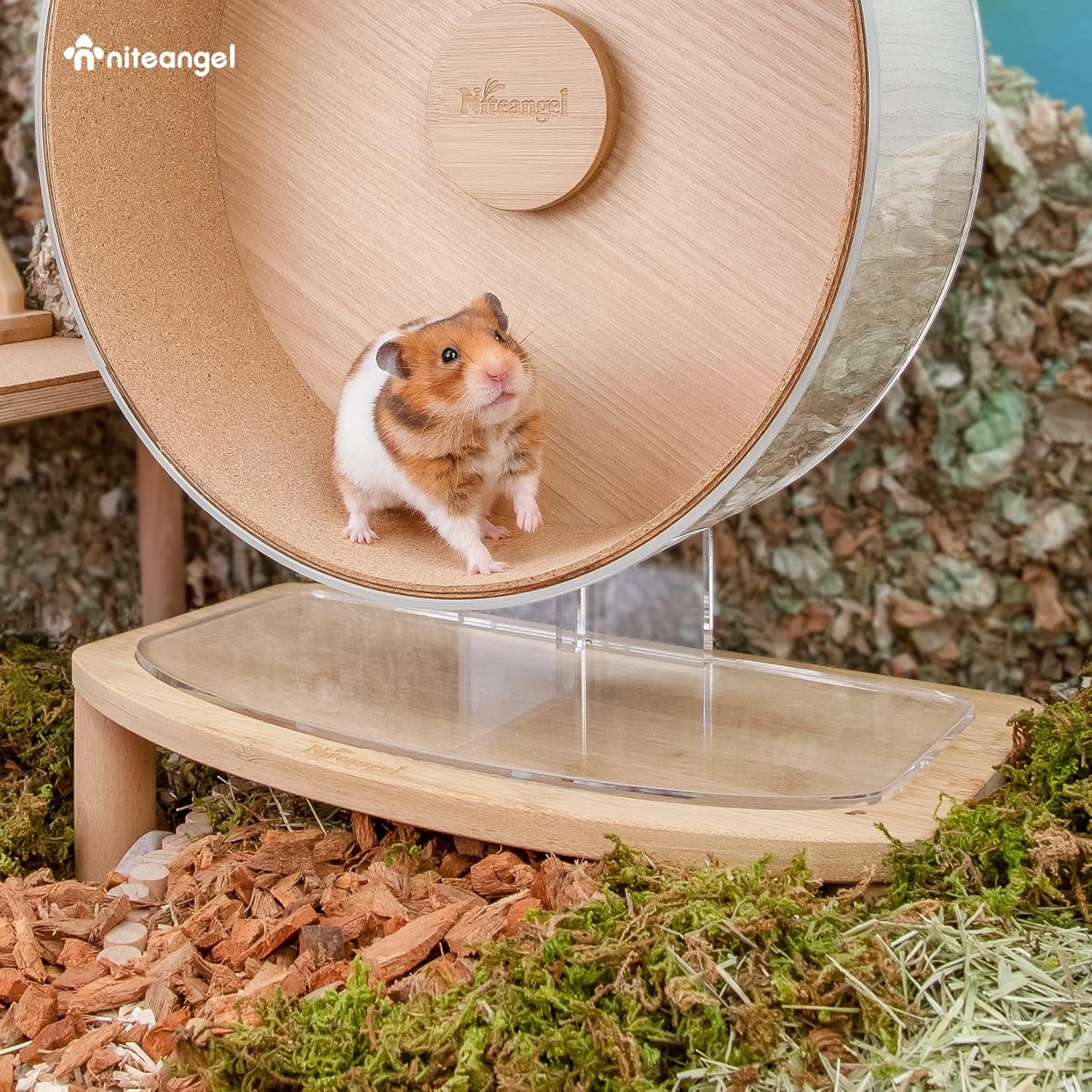 niteangel-anti-slide-hamster-wheel-platform-medium-size-elevates-height