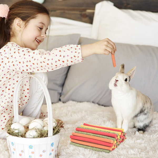 ERKOON 40Pcs Rabbit Timothy Hay Sticks, Five Flavors：Purplepotato/Timothyhay/Pumpkin/Strawberry/Carrot，Suitable Guinea Pig, Hamste, Gerbil, Chinchilla Treats, Chew Toys for Teeth for Bunnies5