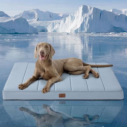 Bedsure Washable Dog Beds Large Sized Dog with Comfy Sherpa, 36X27In Grey | Orthopedic Egg Crate Foam,Comfort Support Flat Rectangle Pet Mat,Non-Slip Bottom,Removable Cover,For Large Breed up to 55 Lbs10
