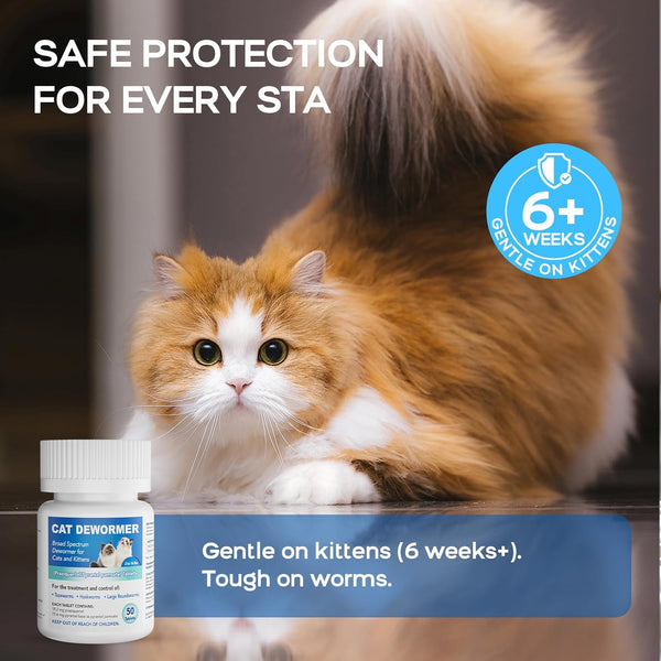 Dewormer for Cats and Kittens - Cat Dewormer All Worms Broad Spectrum | for Tapeworms, Roundworms & Hookworms - 50 Tablets8