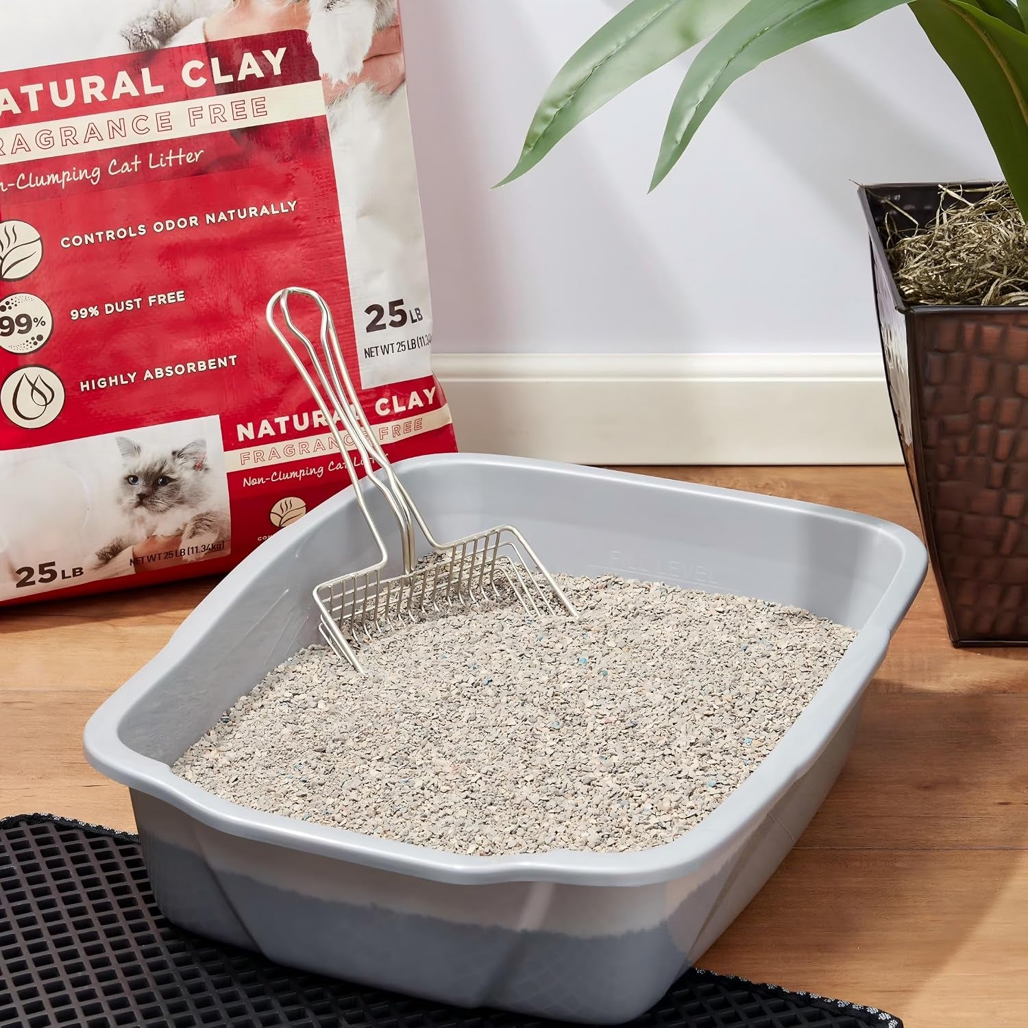 non-clumping-clay-cat-litter-unscented-11-34-kg-bag-unscented-formula-non-clumping-25-lb-11-34-kg-clay-litter-1-count