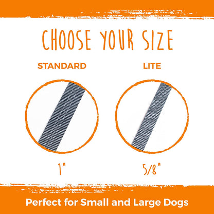 Mighty Paw Double Dog Leash, No Tangle Adjustable Split Lead for Two Dogs | Fits 0-100 Lb, 16-24 in Range, Reflective Stitching, Waterproof, Neoprene Padded Handle2