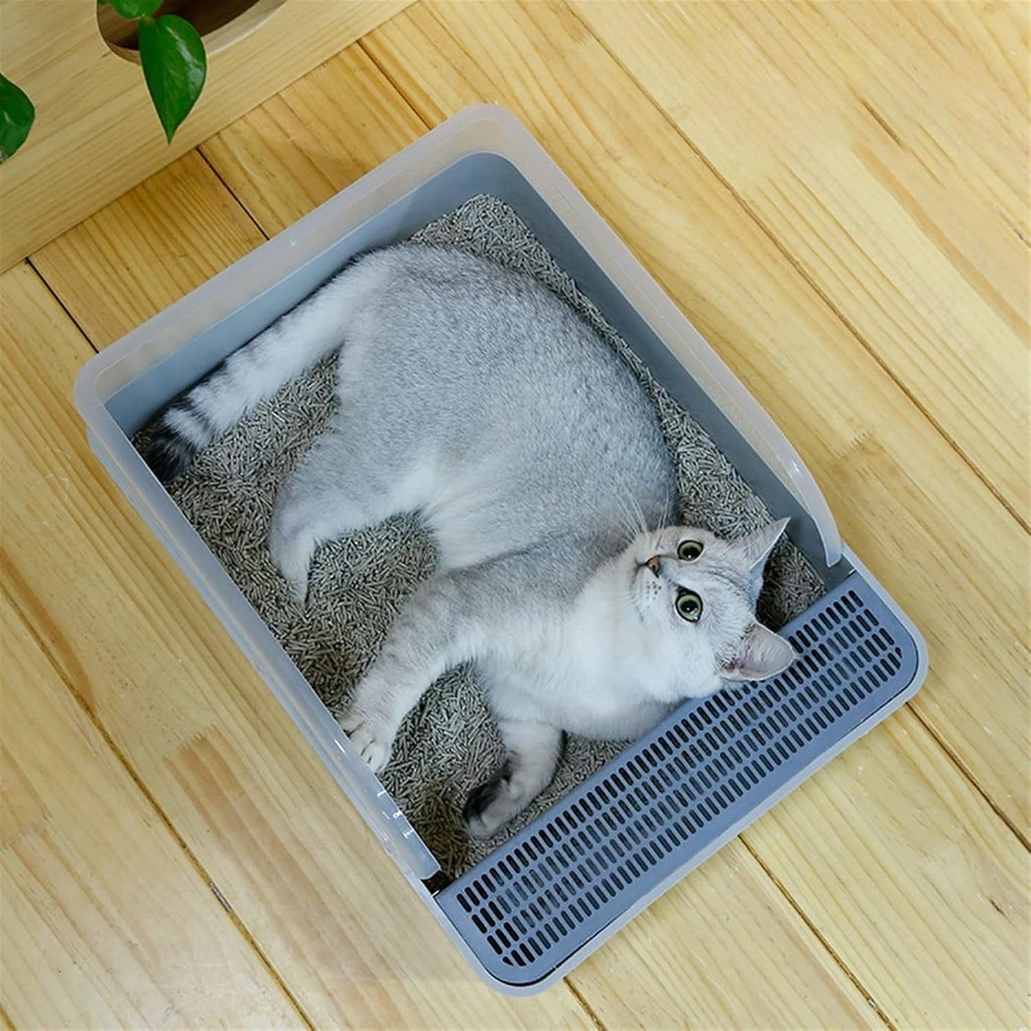 dog-potty-training-toilet-cat-litter-tray-high-fence-proof-toilet-large-open-box-mesh-double-layer-pet-with-shovel-easy-to-clean-supplies