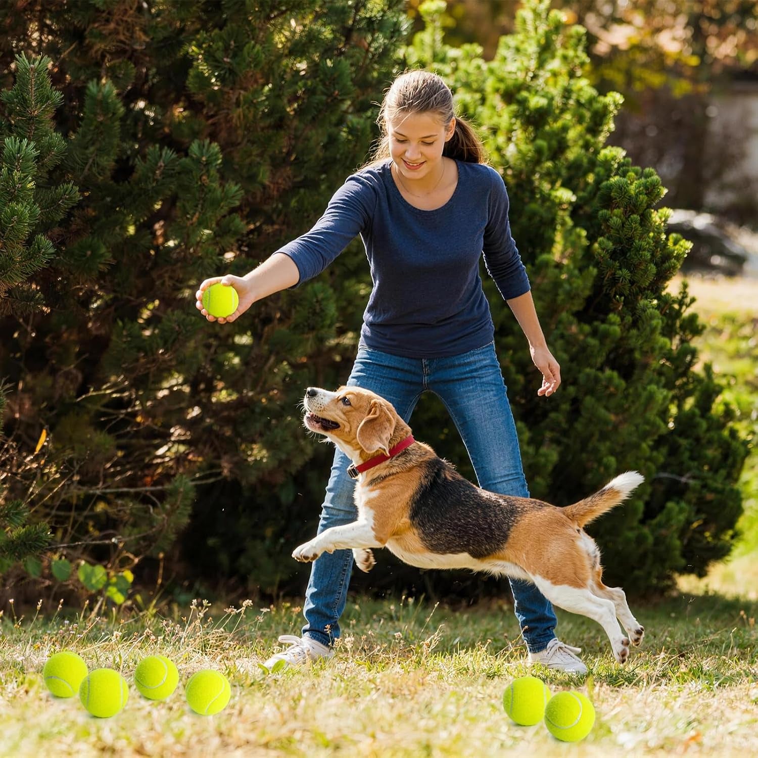 treeroot-16-30-40-60-80-pcs-tennis-balls-high-elasticity-tennis-balls-bulk-comes-with-a-portable-mesh-bag-tennis-ball-for-dogs-suitable-for-beginner-training-ball-durable-bounce
