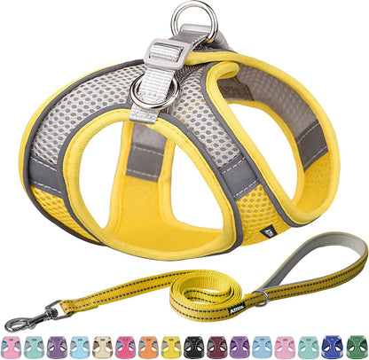 AIITLE No Pull Dog Harness and Leash Set, Step in Adjustable Dog Harness with Padded Vest for All Weather, Dog Leash with Soft Padded Handle, Easy to Put on Small and Medium Dogs Beige S17