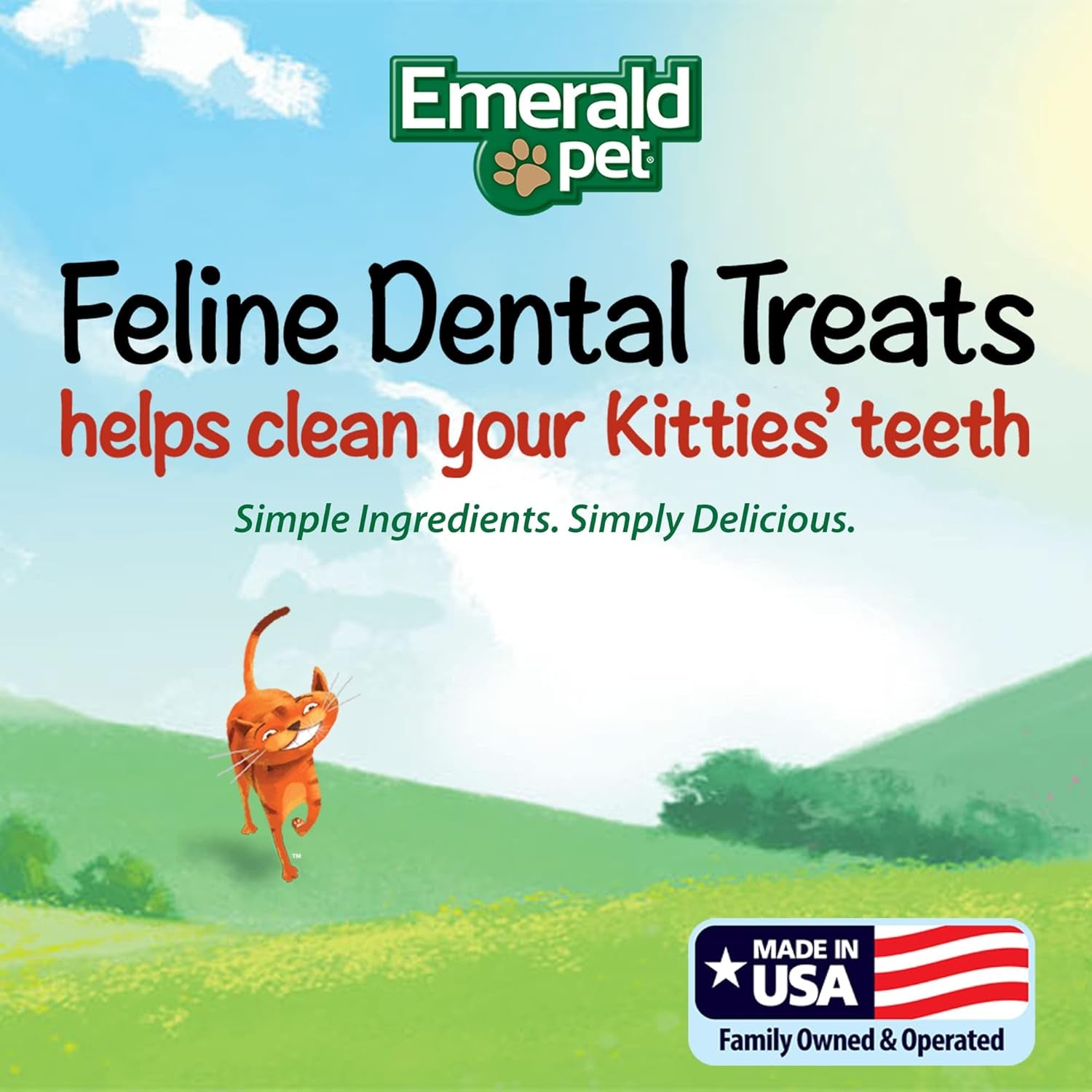 emerald-pet-grain-free-cat-dental-treats-with-salmon-crunchy-natural-dental-treats-for-cats-to-clean-teeth-freshen-breath-and-reduce-plaque-tartar-11-oz-tub