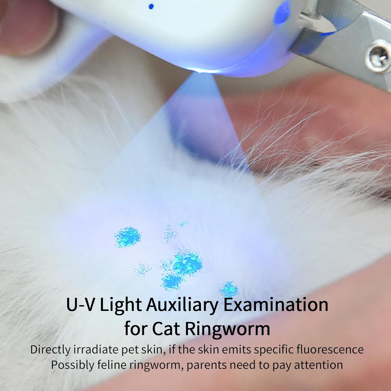 pakeway-pet-nail-clipper-with-led-u-v-light-cat-claw-trimmer-with-ultra-bright-led-light-for-nail-bloodline-to-avoid-over-cutting-sharp-angled-blade-grooming-tool-for-dog-cat-rabbit-small-animals
