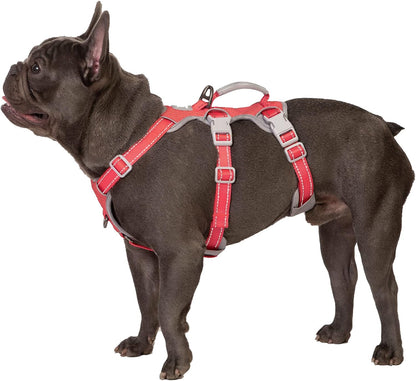 Huntboo Escape Proof Harness, No Slip Dog Harness Escape Proof, Fully Reflective Harness with Handle, Breathable, Durable, Adjustable Vest for Medium Dogs Walking and Training Gear (Black, M)19