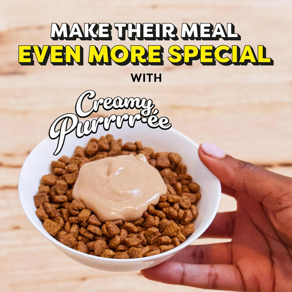 Temptations Creamy Puree Squeezable Lickable Cat Treats, Wet Cat Treats with Salmon, 0.42 Oz. Tubes, 4 Count9