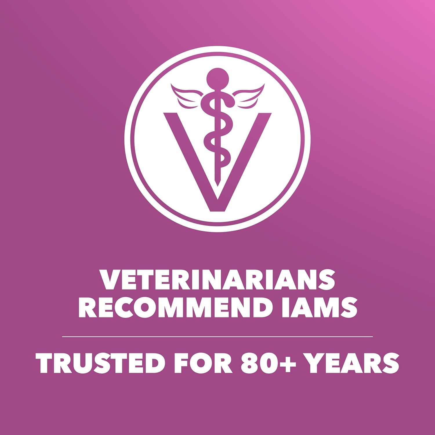 iams-proactive-health-healthy-aging-dry-dog-food-chicken-29-1-lb-veterinarian-recommended-dha-gold-for-mental-visual-sharpness-vitamin-e-beta-carotene-real-chicken-1-ingredient