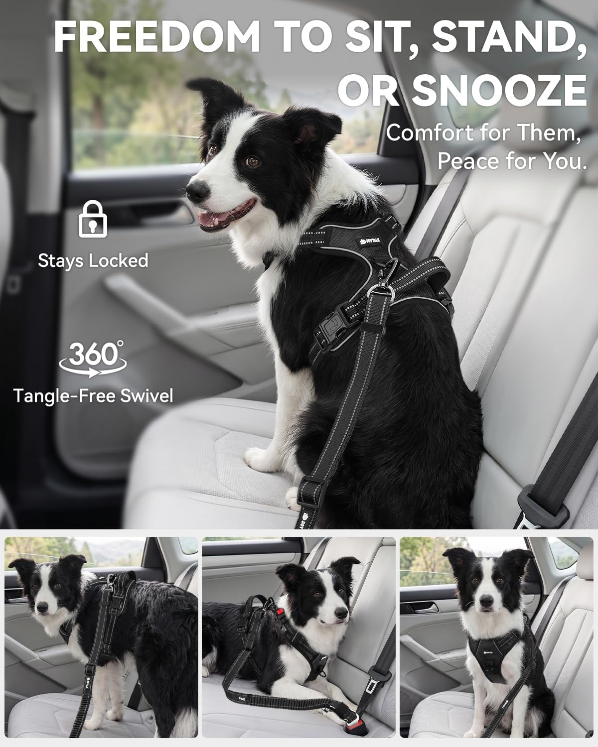 joytale-3-in-1-bungee-dog-seat-belt-for-car-medium-and-large-dogs-black-seatbelt-buckle-latch-cargo-hook-shock-absorbing-360-swivel-slide-to-lock-zinc-buckle-for-distraction-free-driving