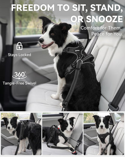Joytale 3-In-1 Bungee Dog Seat Belt for Car, Medium and Large Dogs, Black | Seatbelt Buckle, LATCH, Cargo Hook, Shock-Absorbing, 360° Swivel Slide-To-Lock Zinc Buckle, for Distraction-Free Driving5