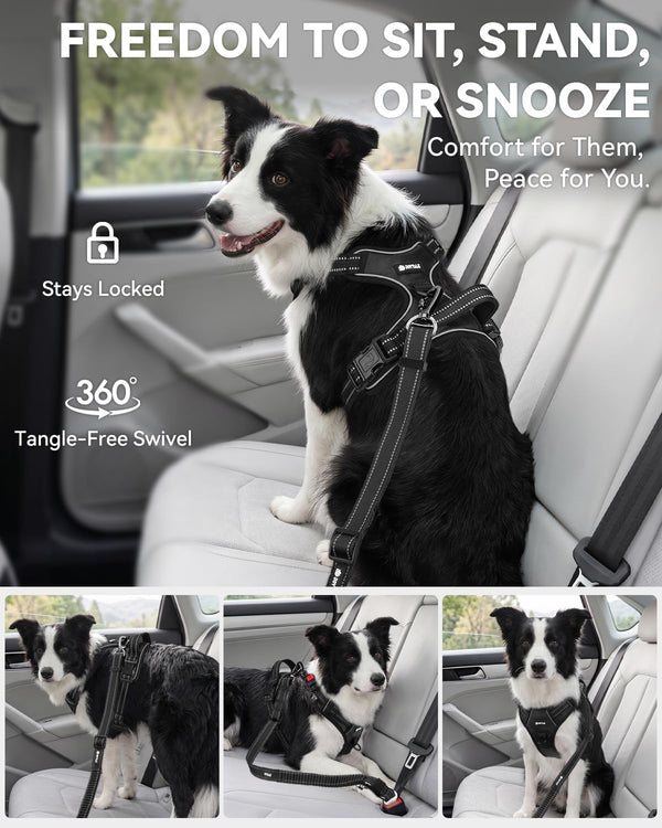 Joytale 3-In-1 Bungee Dog Seat Belt for Car, Medium and Large Dogs, Black | Seatbelt Buckle, LATCH, Cargo Hook, Shock-Absorbing, 360° Swivel Slide-To-Lock Zinc Buckle, for Distraction-Free Driving5