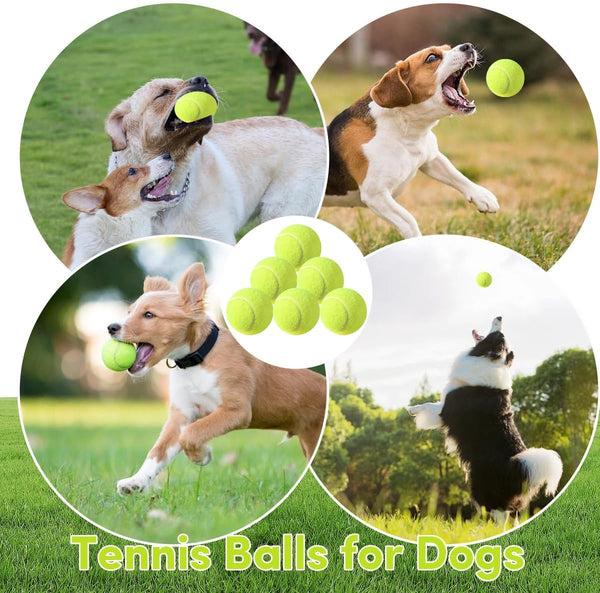 ZIYIZE Mini Tennis Balls, 6 Pack 2 Inch Dog Tennis Balls, Easy Catching Pet Playing Ball for 2 Inch Dog Ball Launcher5