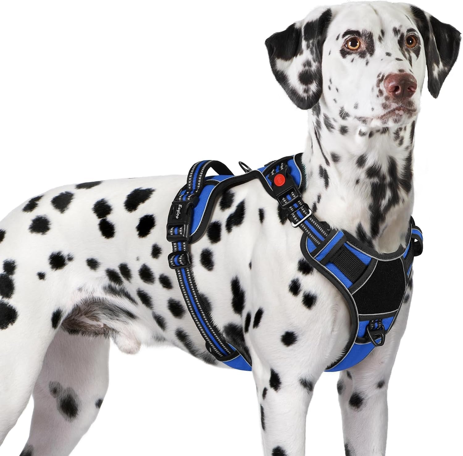 eagloo-dog-harness-no-pull-for-large-dogs-easy-on-off-with-3-buckles-no-choke-with-front-clip-adjustable-fit-molle-system-reflective-vest-easy-control-for-walking-black-large