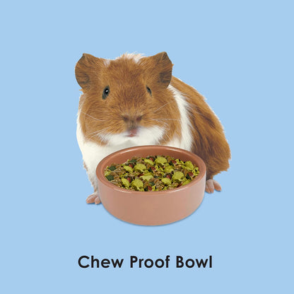 Kaytee Stoneware Ceramic Pet Hamster Bowl, Brown, 3-Inch3