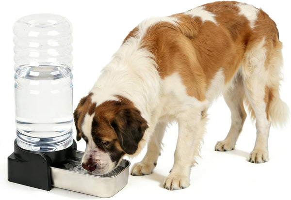 PAKEWAY 1.1 Gallon Gravity Water Dispenser for Cats and Small Dogs, Automatic Pet Waterer with Stainless Steel Bowl, Transparent Tank and 3 Filters, 4.1L11