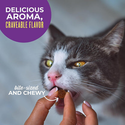 Tiki Cat Soft & Chewy Treats, Chicken Flavor, 3 Calories per Treat with Grain-Free and No Added Gluten, 6 Oz. Pouch6