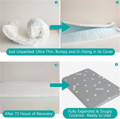 Waterproof Dog Bed for Large/Medium Dog, Memory Foam Dog Beds & Furniture | 38” X 26" X 1.5" for Large Sized Dogs with Anti-Slip & Washable Removable Cover, Soft Flannel Top Pet Beds, Grey2