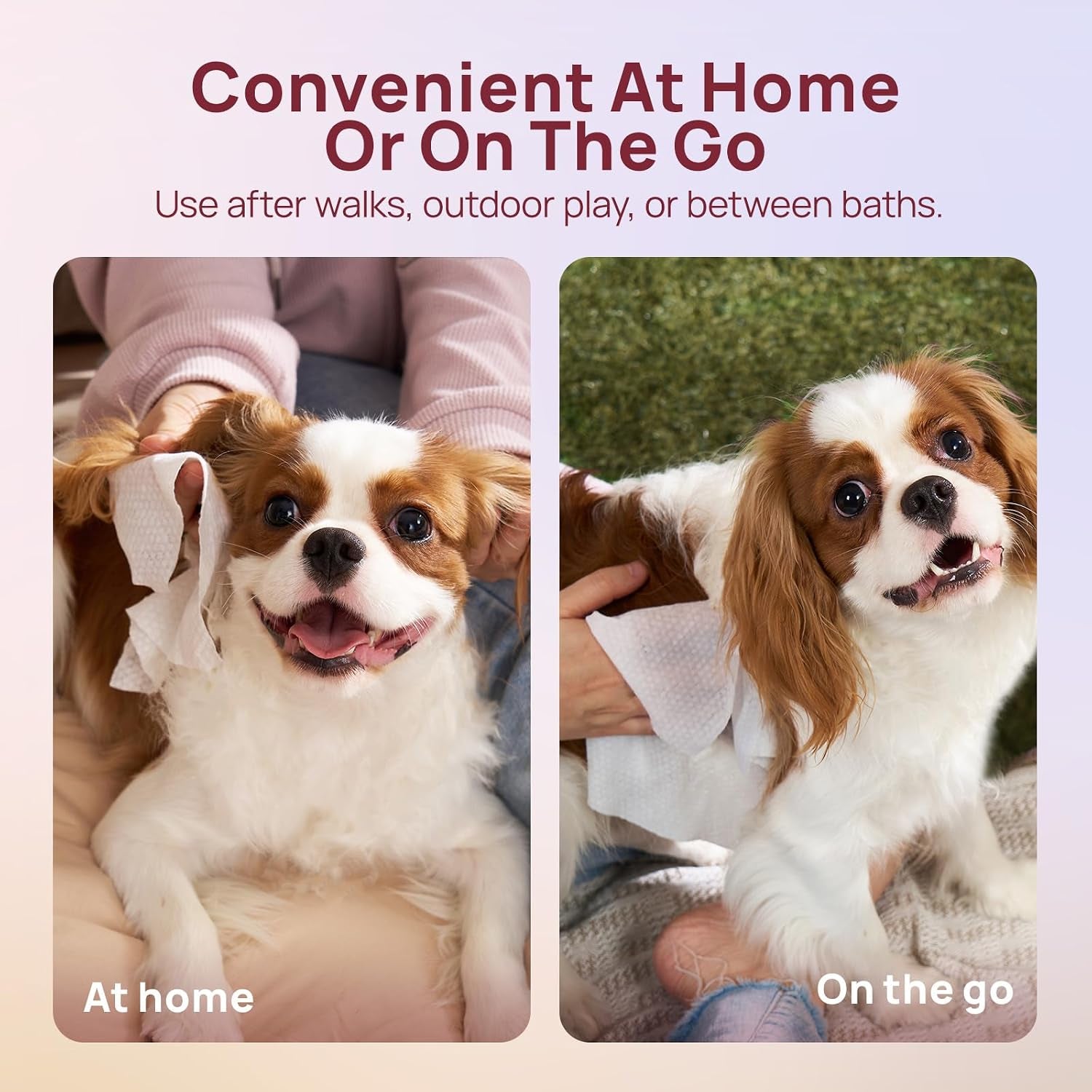hicc-pet-pet-cleaning-wipes-for-dogs-cats-paws-coat-100-count-pearl-textured-with-fermented-coconut-oil-and-damask-rose-for-face-and-rear-end-cleaning-after-walks-or-between-baths