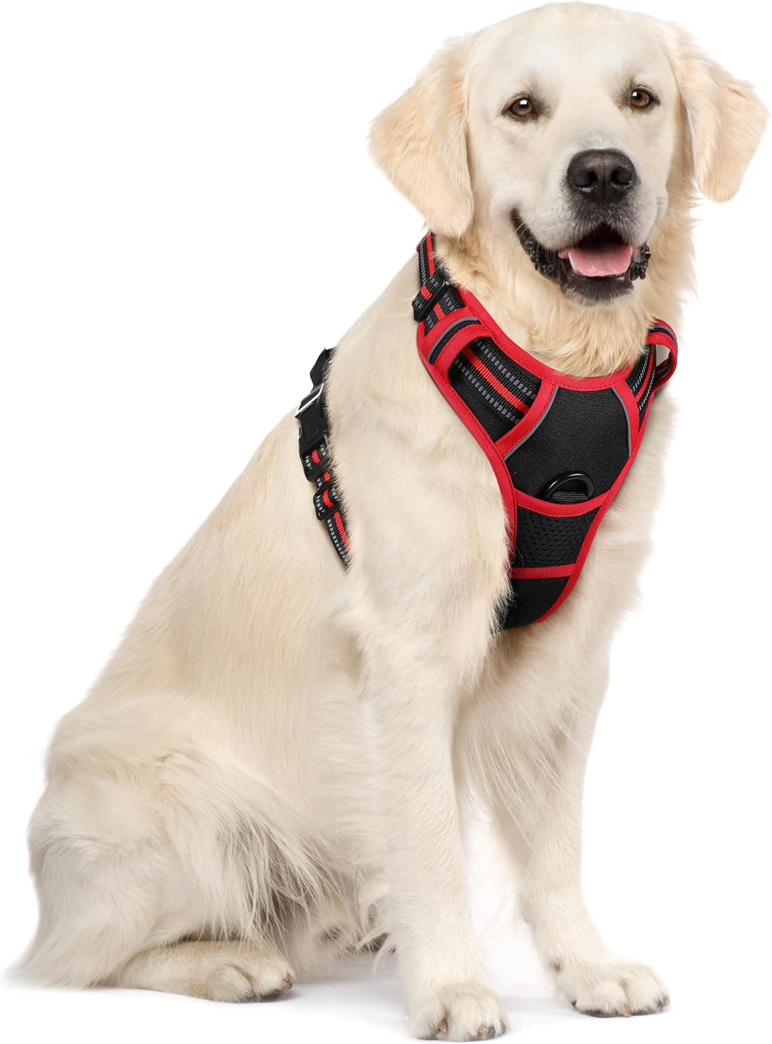 rabbitgoo-dog-harness-no-pull-for-large-dogs-with-2-leash-clips-pet-vest-no-choke-with-handle-adjustable-soft-padded-reflective-easy-control-for-walking-black-large