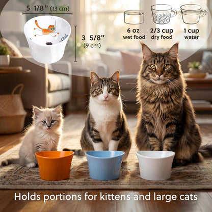 Elevated Cat Bowls for Water – Whisker & Neck Fatigue Shallow Cat Dishes – Raised Bowl for Indoor Cats – Vet-Recommended Height, Modern Pedestal Design – Non-Slip & Dishwasher-Safe – 8 Oz Powder Blue7