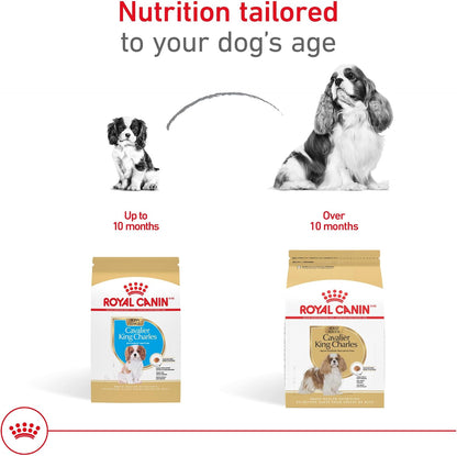 ROYAL CANIN Breed Health Nutrition Cavalier King Charles Spaniel Adult Dry Dog Food, 10 Lb Bag | Specialized Kibble Shape, Supports Heart Health, Formulated for Breed-Specific Needs, 10 Lb Resealable Bag7