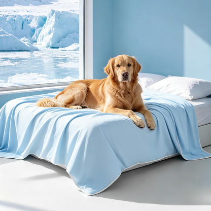 Mora Pets Premium Cooling Blanket for Dogs, Q-MAX>0.5 Washable Breathable Cooling Mat, Lightweight Soft Summer Pet Throw Blanket, Furniture Protector Bed Couch Cover for Small Dog Cat, Gray, 29X4011