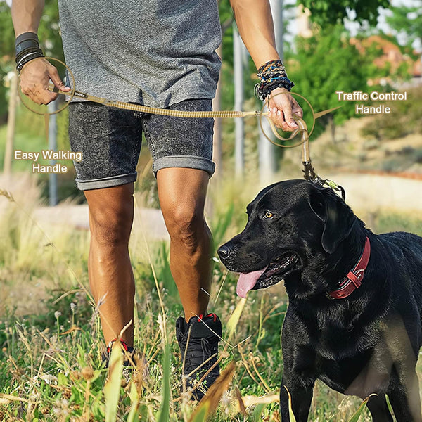 Raipult Tactical Dog Leash Heavy Duty, 4-6FT Shock Absorbing Bungee Leash with Quick Release Clip& 2 Handles, No Pull Waking Lead with Car Seatbelt for Medium Large Dogs That Pull,Khaki7