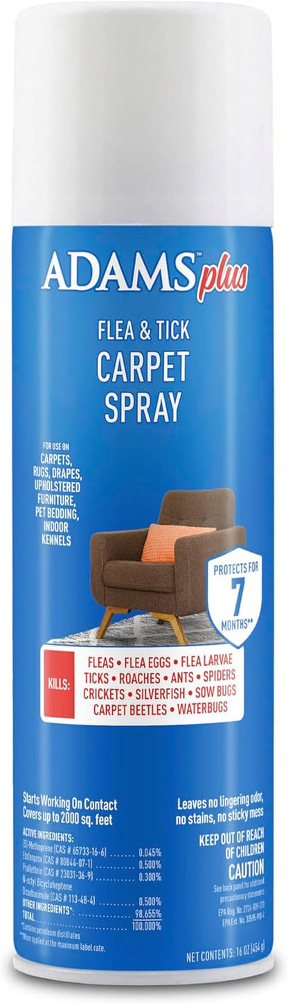 ADAMS plus Flea & Tick Carpet Spray, Flea Spray for Home, 16 Oz1