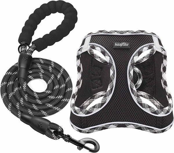 Haapaw Dog Harness with Leash Set, No Pull Adjustable Reflective Step-In Puppy Harness with Thickened Padded Vest for Extra-Small/Small Medium Dogs7