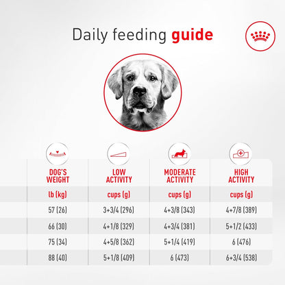 ROYAL CANIN Golden Retriever Adult Dry Dog Food, 30 Lb Bag10