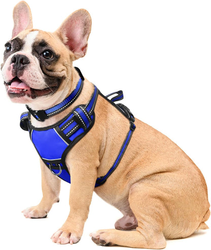 Dog Harness No Pull, Pet Harnesses with Dog Collar, Adjustable Reflective Oxford Outdoor Vest, Front/Back Leash Clips for Small, Medium, Large, Extra Large Dogs, Easy Control Handle for Walking12